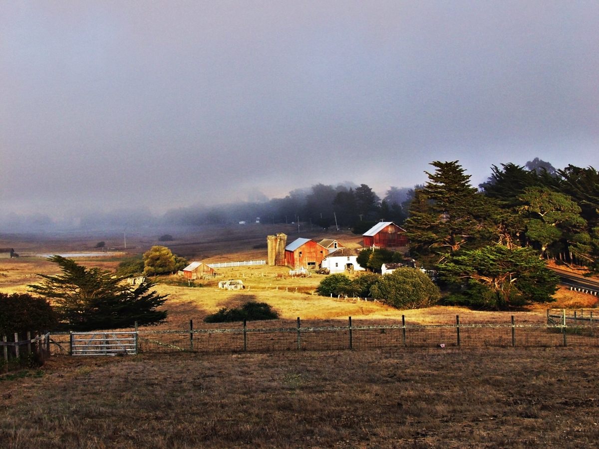 Bodega farm